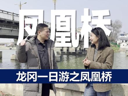 凤凰桥的来历,很多龙冈人都不知道,老熊讲给你听!#凤凰桥的来历 #盐城 #龙冈 #熊正荣 #凤凰桥