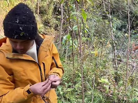 #老六荒野 #抖加小助手 韦山抓蚂蚱来做烧烤