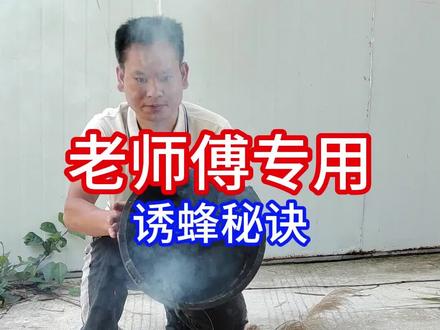 引诱野生蜜蜂 #三农 #诱蜂 专业养蜂人诱蜂秘诀。#蜜蜂