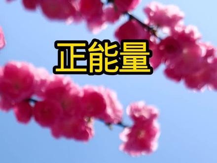 听老北的没吃亏,这就是正能量。