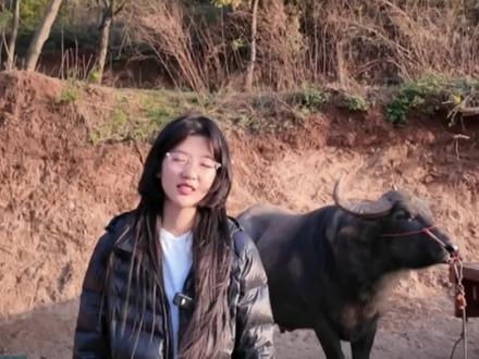 五一咱们牛谷不见不散#嵩明牛谷#五一 #斗牛 @奇彩乐园嵩明牛谷