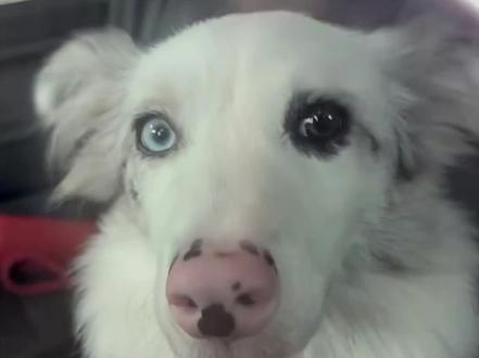 #肆意突围 #肆意少年 #TF家族四代 #娱乐 娱乐 大家不要当真