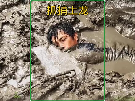 男子把身体躺在泥浆里只为了抓捕一条昂贵的土龙#神奇动物在抖音 #荒野猎人 #真实户外 #抓鱼摸虾 #户外
