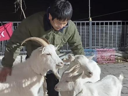 又是一期莫名其妙的视频#骏良#胖宝宝#骏良#小宝#骏良