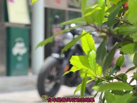 听劝的加大杯来了,春风550CL-C抢先试驾 舒适性提升不少 #春风550clc #450clc #巡航