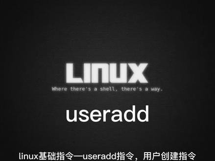 linux基础指令—useradd指令
#linux运维 #linux命令 #linux自学
#用户创建 #userid