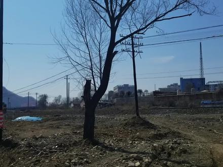 k7511大连到松江河,此列车早已停运