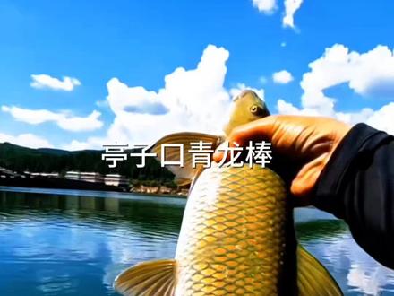 你们要的青龙棒位置它来了#钓鱼 #户外 #钓鱼人