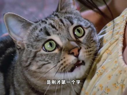 坏猫臭猫 土味情话7#搞笑 #萌宠 #猫咪 #邵氏 #AI创作浪潮计划
