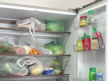 很脏!却被很多人忽视了! #健康科普 #冰箱清洗 #大扫除