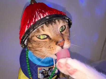 公公,这就是你宫里的体面工作? #宠物运镜 #埃及摇 #萌宠版埃及摇 #舔猫 来汽水把这首歌设置为铃声