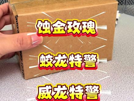 兼容乐高三角洲行动凌霄戍卫威龙赛伊德红狼积木人仔拼装玩具礼物#乐高人仔 #三角洲行动 #蚀金玫瑰#威龙 #蛟龙