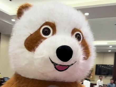 最丝滑的大熊猫 #七仔