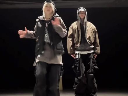 三只海豹和两条宽粉(X) #滑溜溜海豹舞 #双人舞 #浅跳一下 #双开门冰箱 @*Moon