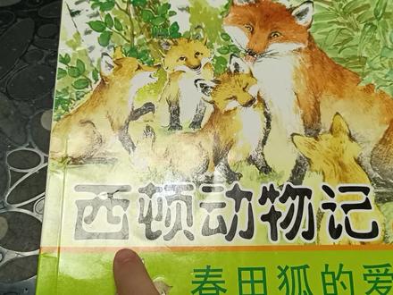 指读打卡:第197天 西顿动物记-春田狐的爱(二)