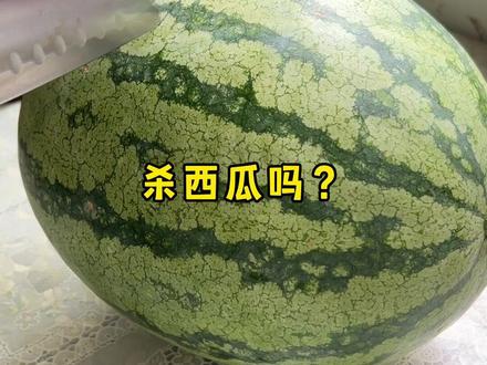 白刀子进红刀子出,夏天的快乐 是杀西瓜,哈哈哈#西瓜🍉 #西瓜真甜 #这瓜保熟吗 #西瓜这样切