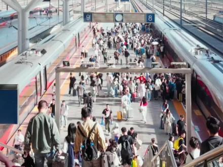 用高考准考证买票去东莞摘荔枝,高铁票八折! (视频:钱亚伦)#铁路 #高考 #荔枝 #准考证 #打折打折