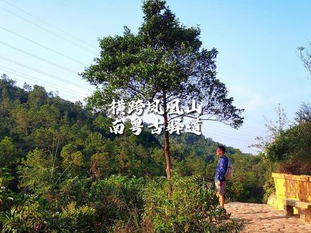 南粤古驿道——长南迳古道是一条横跨凤凰山的古道,以前这里满是挑夫和马帮的吆喝声。#珠海旅游攻略 #周末好去处 #一起爬山 #徒步 #解锁绝佳游玩路线