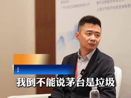 普通人该不该all in科技股? 对话汇泉基金首席经济学家陈洪斌 #科技股 #科技 #人工智能 #投资 #理财