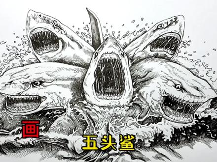 手绘鲨鱼教程、教你如何画鲨鱼、五头鲨#画画 #手绘 #绘画过程 #鲨鱼 #恐龙