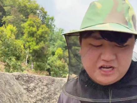 #全进华 华仔推荐深山蜂蜜#深山蜂蜜 #蜂蜜 #云南蜂蜜 #百花蜜