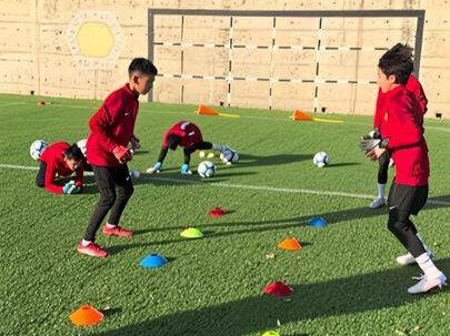 提高守门员反应与动手能力#足球 #守门员