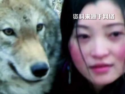 如果当时这笔钱能给她,或许李微漪不用那么辛苦,可以多点时间去陪伴格林...
#李微漪 #格林 #出版 #稿费 #重返狼群