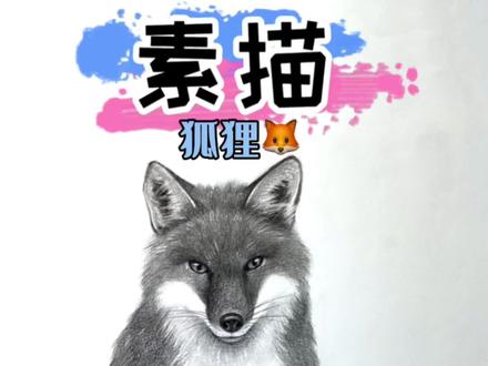 素描狐狸视频教程来啦~#一学就会系列 #素描 #狐狸 #零基础教学 #素描动物
