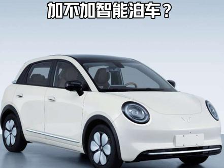 缤果pro 需要买选装吗 #新能源汽车 #缤果pro #五菱缤果