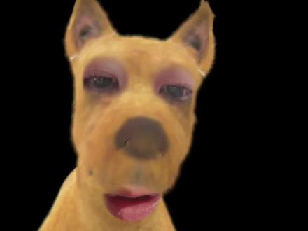 实时估值有救了呀#养基宝 #基金 #基金理财 #实时估值