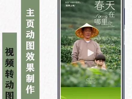 排版技巧分享|主页动图效果制作!视频转gif,快来一起练习打卡吧!#排版设计 #公众号排版 #秀米排版