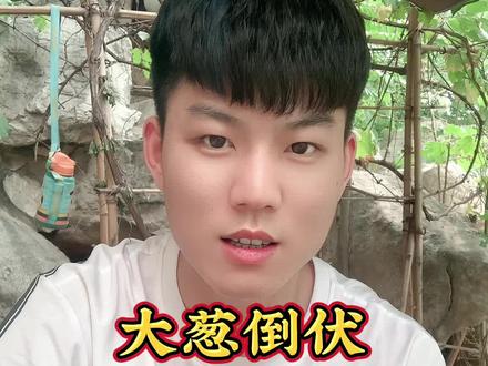 大葱倒伏三步有效解决#大葱#大葱种植 #农业种植#蔬菜种植#农业种植#种植管理#种植技术#种植技术分享 #抖音助农 #农业技术推广 @抖音小助手