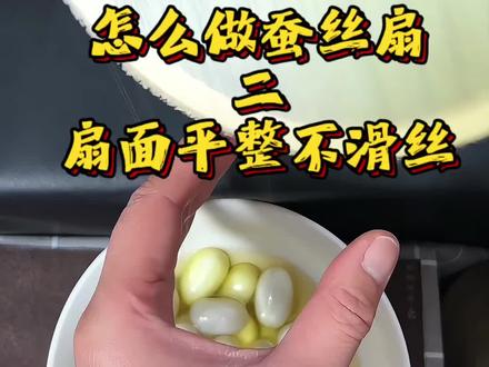 保姆级蚕丝扇教程,新手一学就会,不翻车哦
#蚕丝扇 #蚕丝扇子的制作 #手工diy #蚕茧 #蚕丝