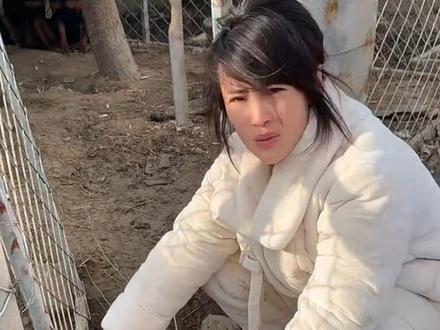 狗咬鸡鸭鹅 有没有大神指导指导,怎么训#狗 #狗咬鸡 #我的真实农村生活 #我的乡村生活