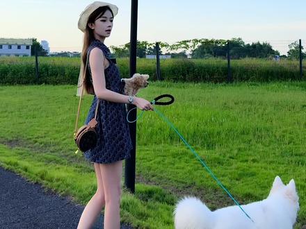 怎么这个六月吹来一阵清风#夏天