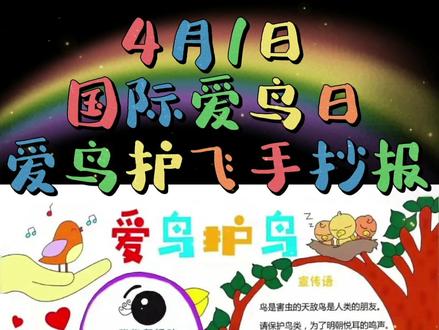 爱鸟护鸟手抄报#创作灵感 #手抄报#小学生手抄报 #国际爱鸟日 #爱鸟护鸟手抄报 #爱鸟日 #手抄报线稿 #爱鸟护鸟