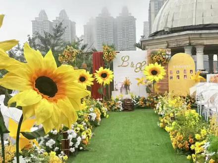 纸艺花|纸艺向日葵🌻教程
喜欢向日葵的姐妹们👭集合啦~
快学起来#手工 #纸艺花教程 #向日葵
