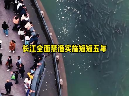 钓鱼佬的吨级打窝料那可不是开玩笑的 #钓鱼佬 #长江 #禁渔 #生态保护