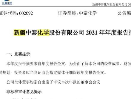 中泰化学2021年报摘要