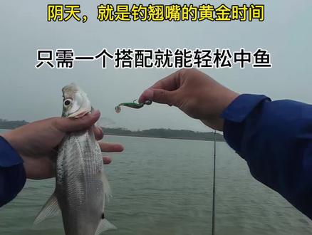 #路亚钓鱼 #路亚野钓 阴雨天真的太合适钓翘嘴了,