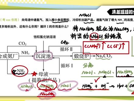 侯氏制碱法yyds!一站式学透全部必考点!
