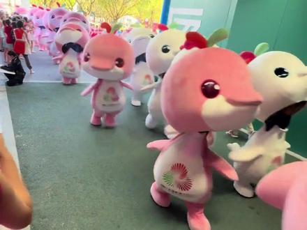 1分钟带你认识6种可爱吉祥物 #热点 #科普