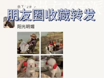 朋友圈隐藏小技巧,收藏就能转发,还能改文案,学会超方便~ #收藏转发 #朋友圈技巧 #微信隐藏功能 #实用小技巧 #朋友圈文案