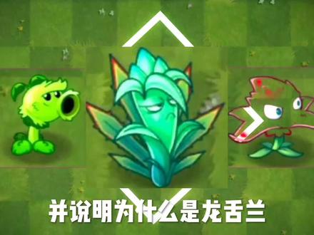 #植物大战僵尸2 龙舌兰一代神