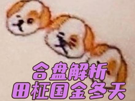 合盘解析:田柾国金冬天