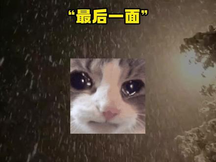 339:小然,你要再来看我哦~没想到 ,这是见温然的最后一面 #囚于永夜 #顾昀迟 #温然 #麦香鸡呢 #迟述 @DOU+小助手