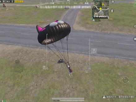 纯净海岛好多小呆呆,来抓小呆呆...