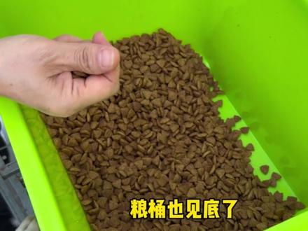 上天给了我怜悯之心却没有给我解救众生的能力 #偶遇小流浪 #万物可爱计划