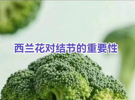 西兰花对结节的重要性