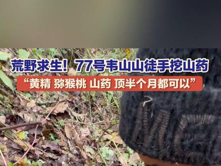 11月5日,湖南张家界,#荒野求生 挑战赛,77号选手韦山山徒手挖山药!他对接下来的比赛很有自信:“黄精、猕猴桃、山药,随便顶个十天半个月都可以。”